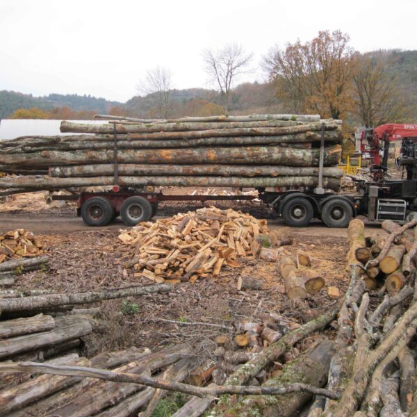 Hartholz PEFC Hochwertiges- 1 LKW- 50RM